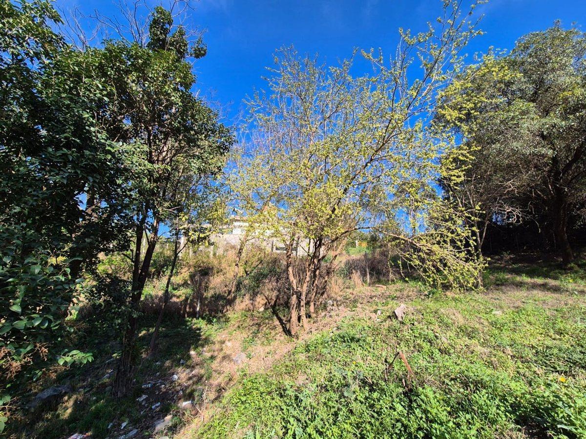 Foto de VENTA LOTE 1056M2 ZONA CASTILLO MONSERRAT UNQUILLO, imagen 2