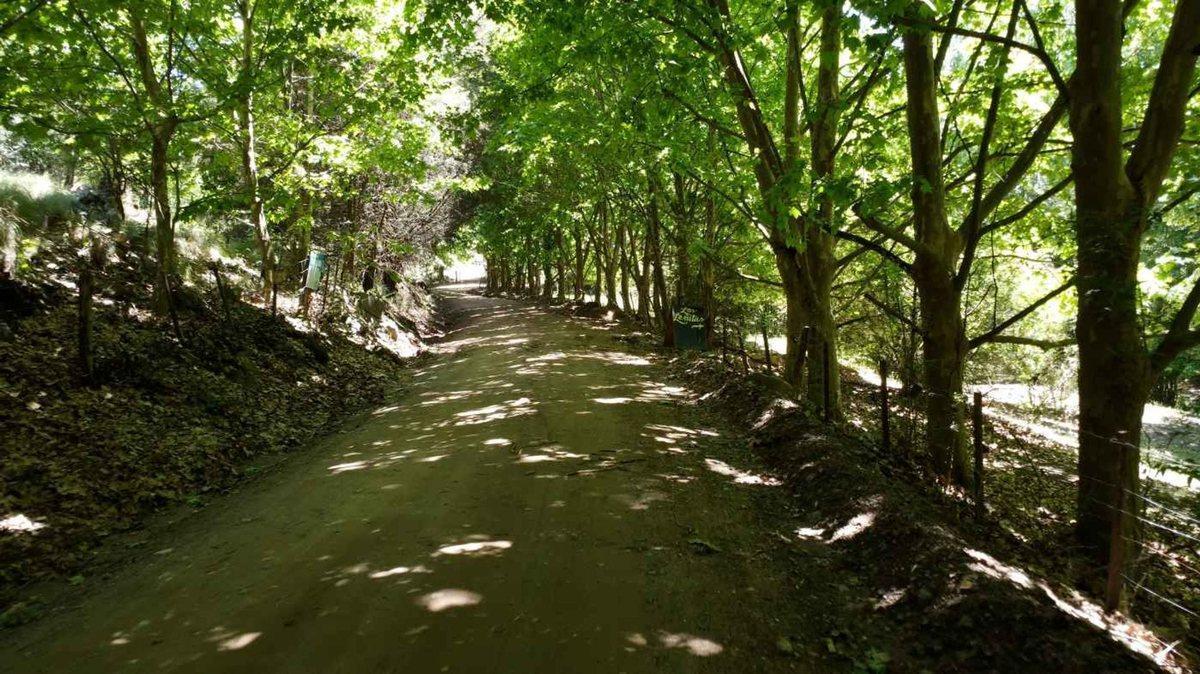 Foto de VENTA CAMPO 18HAS ARROYO CNO CANDONGA AGUA DE ORO, imagen 2