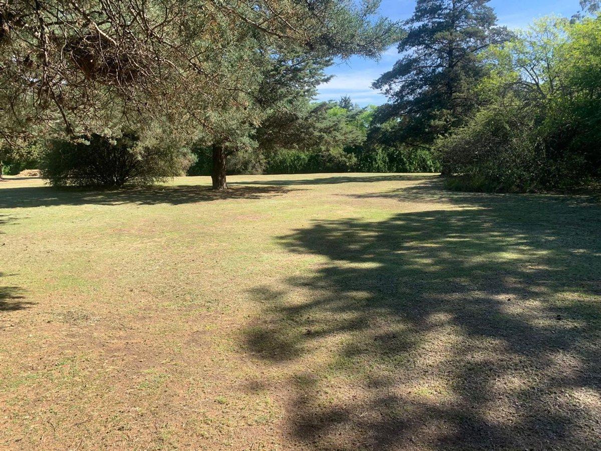 Foto de VENTA TERRENO EN CASA GRANDE CORDOBA, imagen 3
