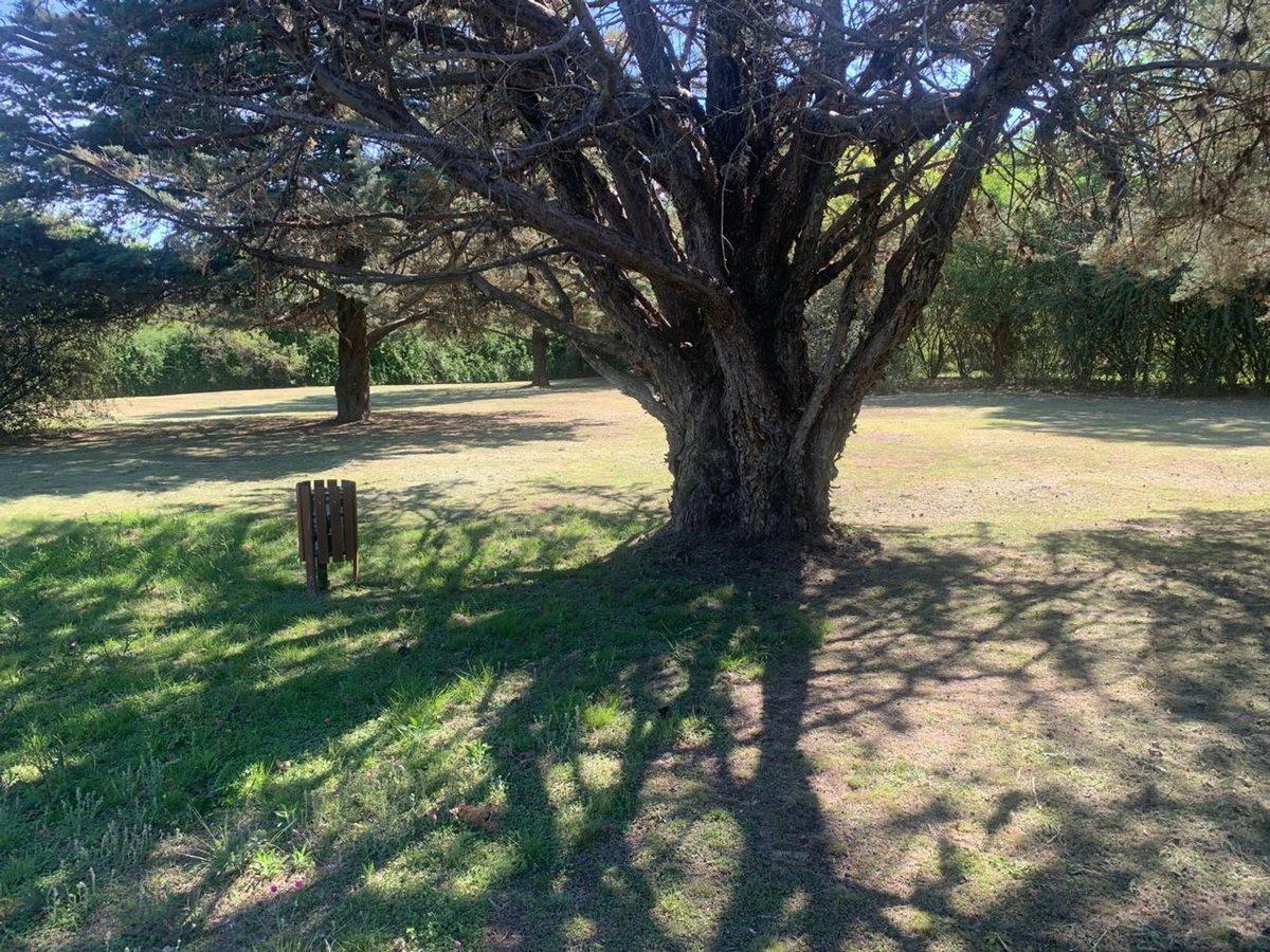 Foto de VENTA TERRENO EN CASA GRANDE CORDOBA, imagen 2