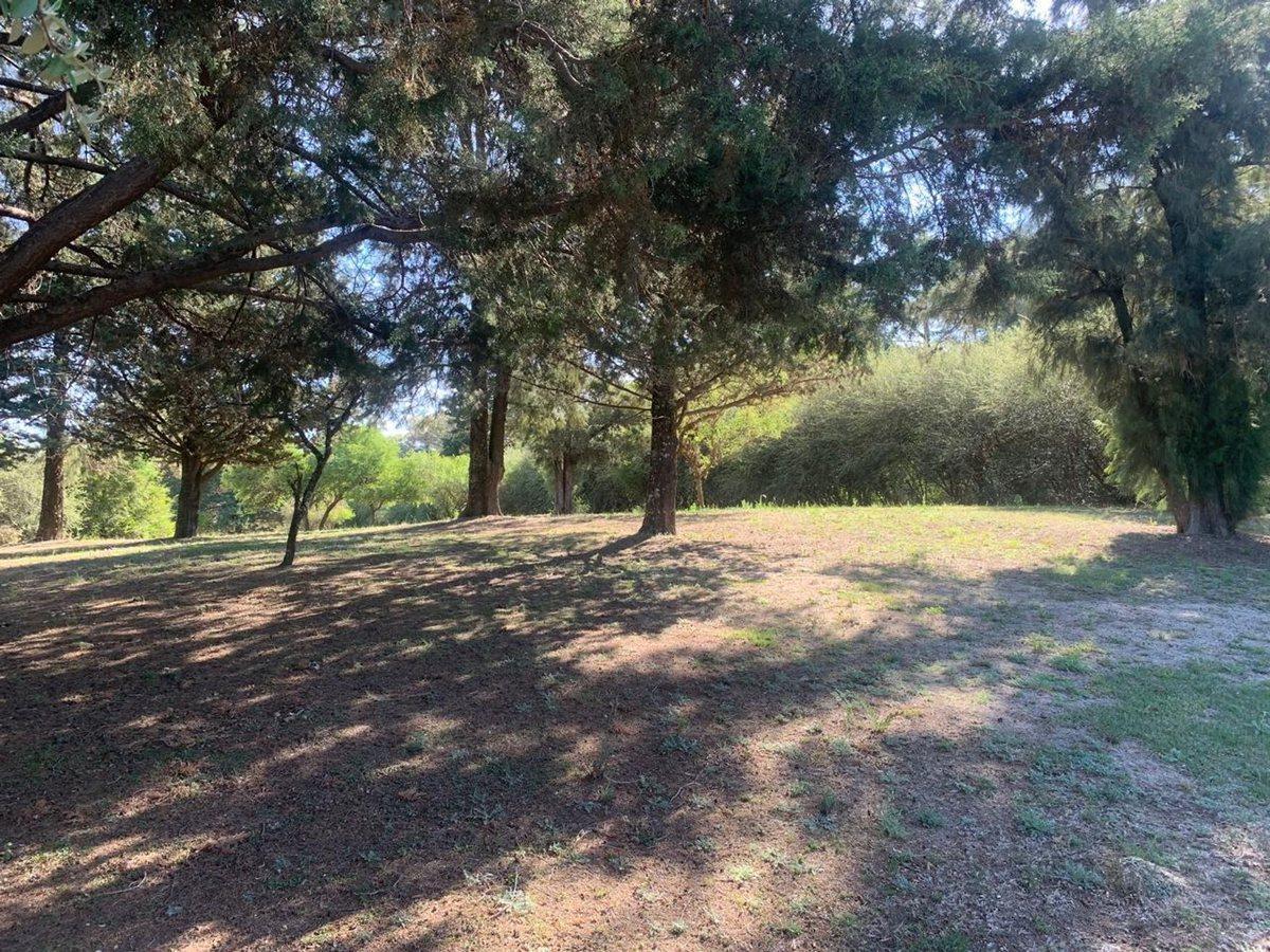 Foto de VENTA TERRRENO CASA GRANDE, CORDOBA, imagen 2