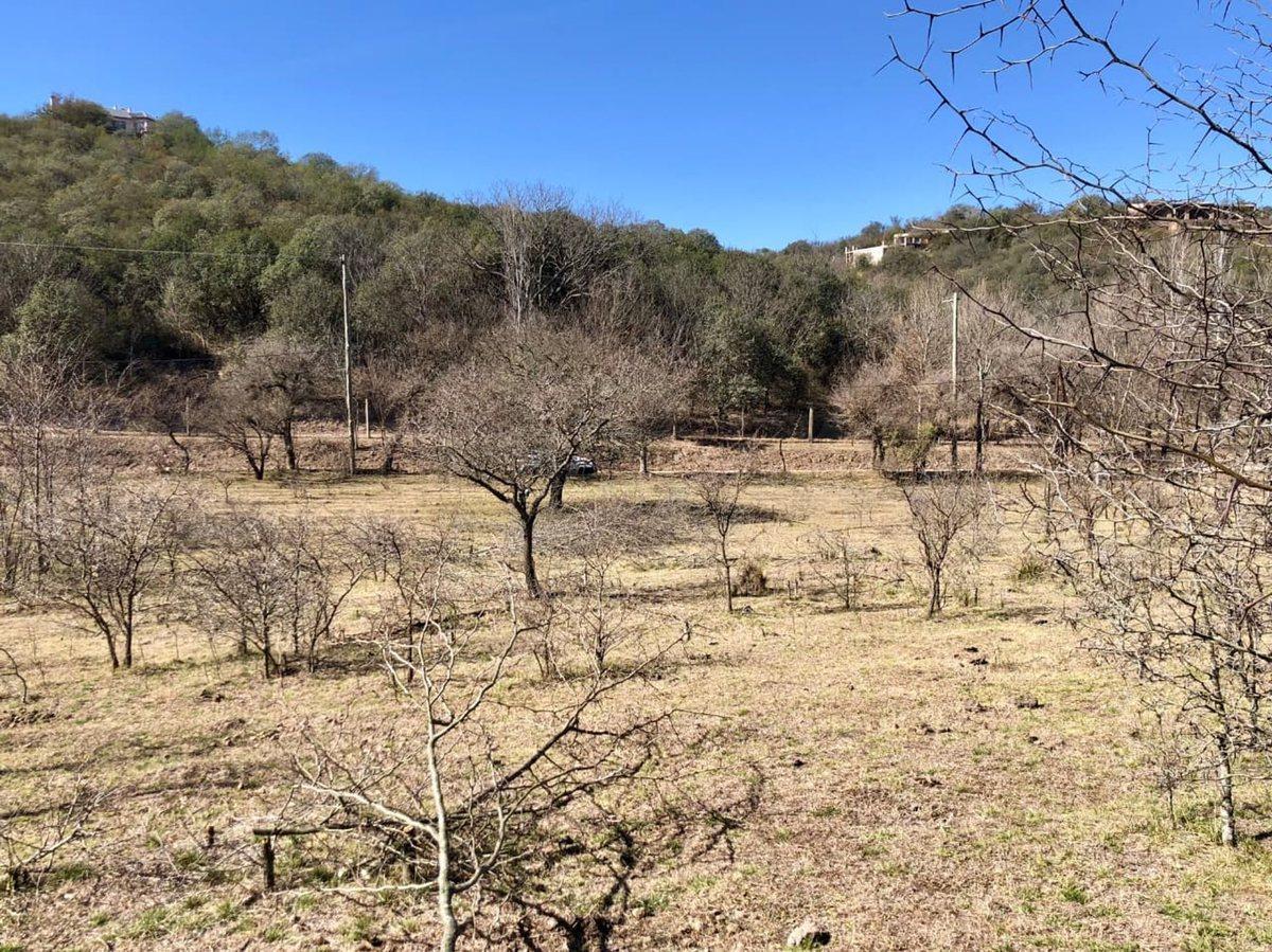 Foto de VENTA TERRENO 13.000mt UNQUILLO CAM. A SAN MARCOS, imagen 5