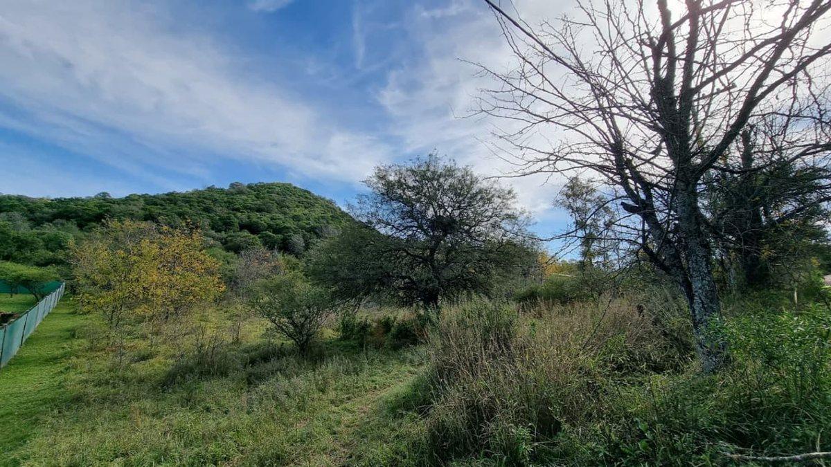 Foto de VENTA TERRENO 13.000mt UNQUILLO CAM. A SAN MARCOS, imagen 2