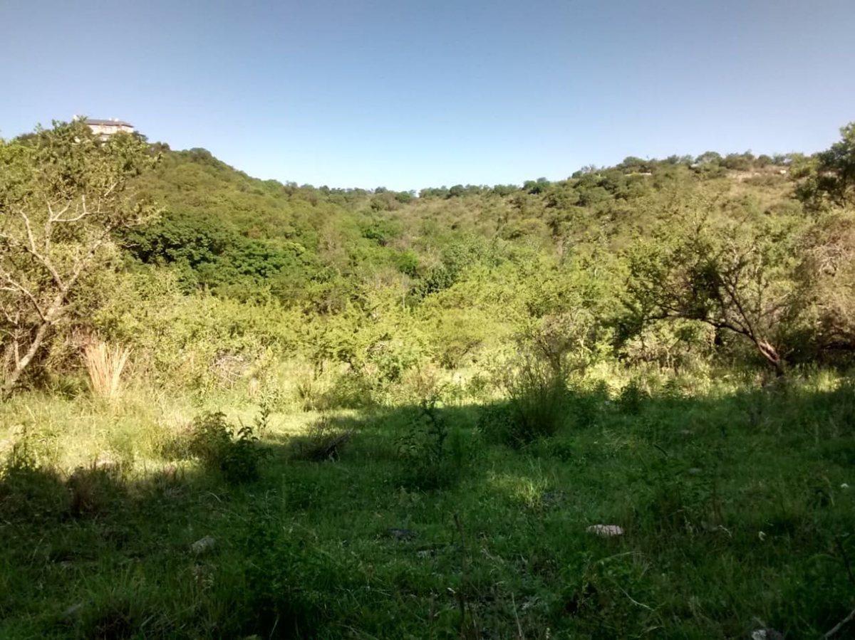 Foto de VENTA TERRENO 13.000mt UNQUILLO CAM. A SAN MARCOS, imagen 4