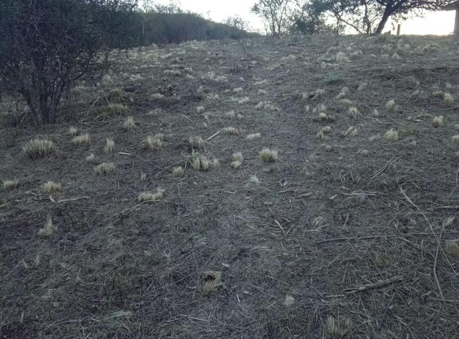 Foto de VENTA LOTE CERRO DEL SOL SALSIPUEDES, imagen 3