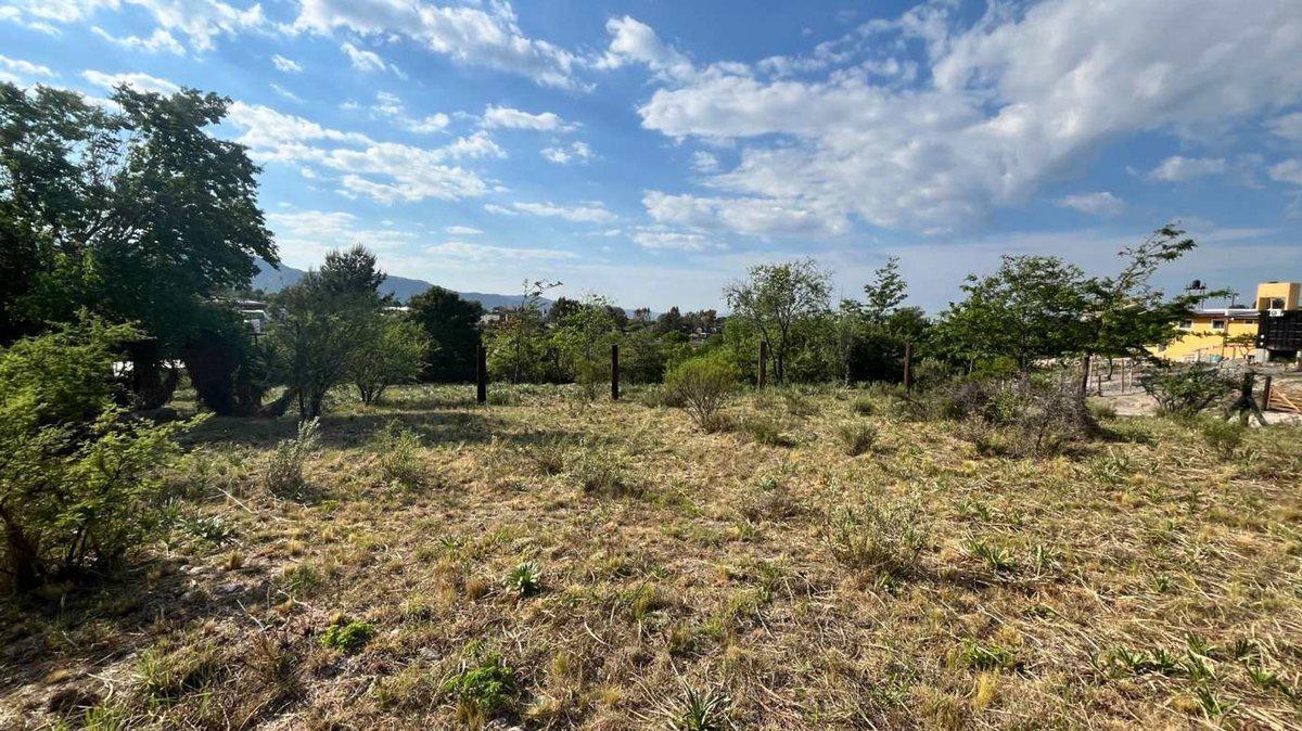 Foto de VENTA TERRENO 771 M2 HUERTA GRANDE CON VISTA, imagen 4