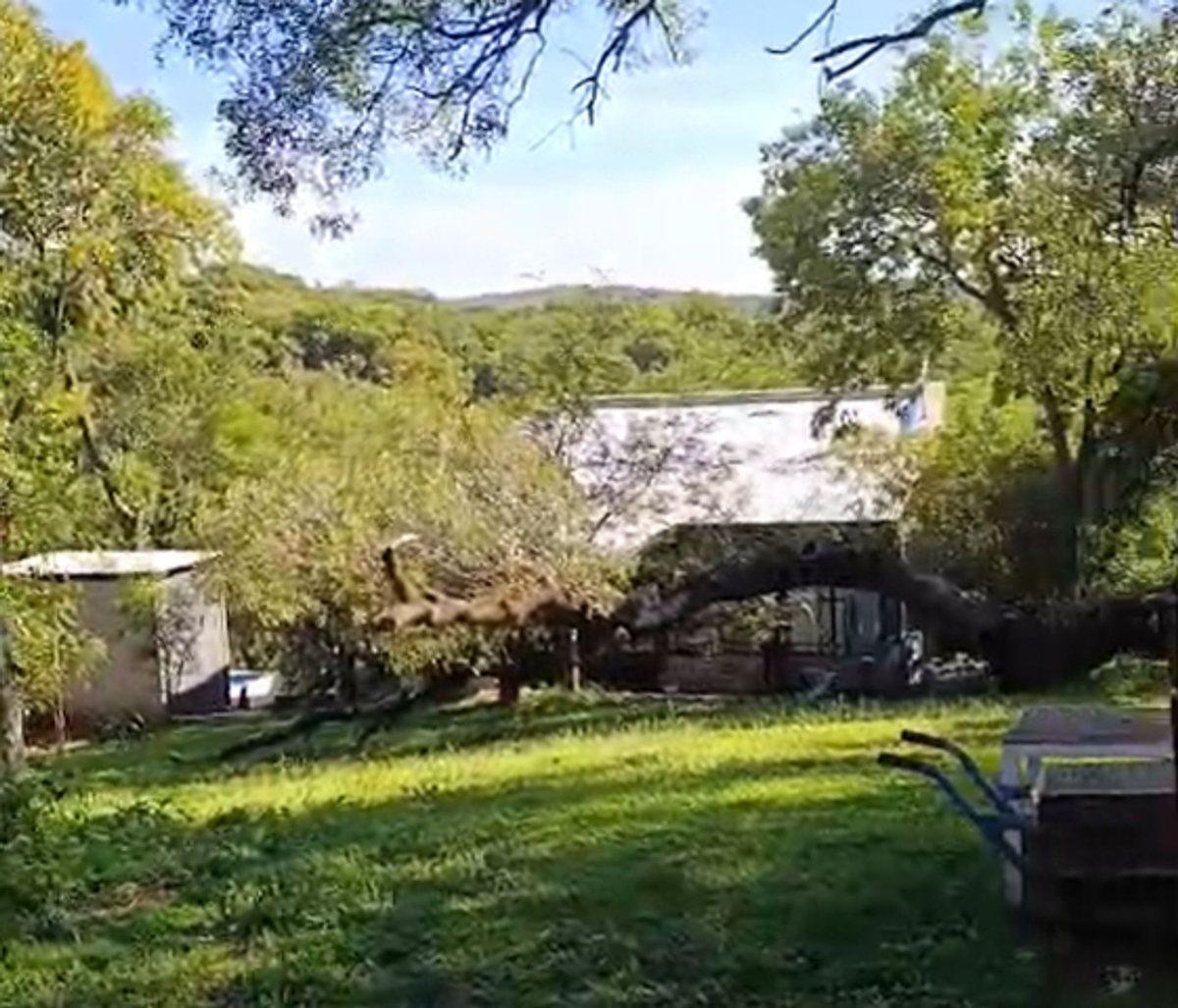 Foto de VENTA LOTE 476 M2 RIO CEBALLOS EXCELENTE ZONA, imagen 5