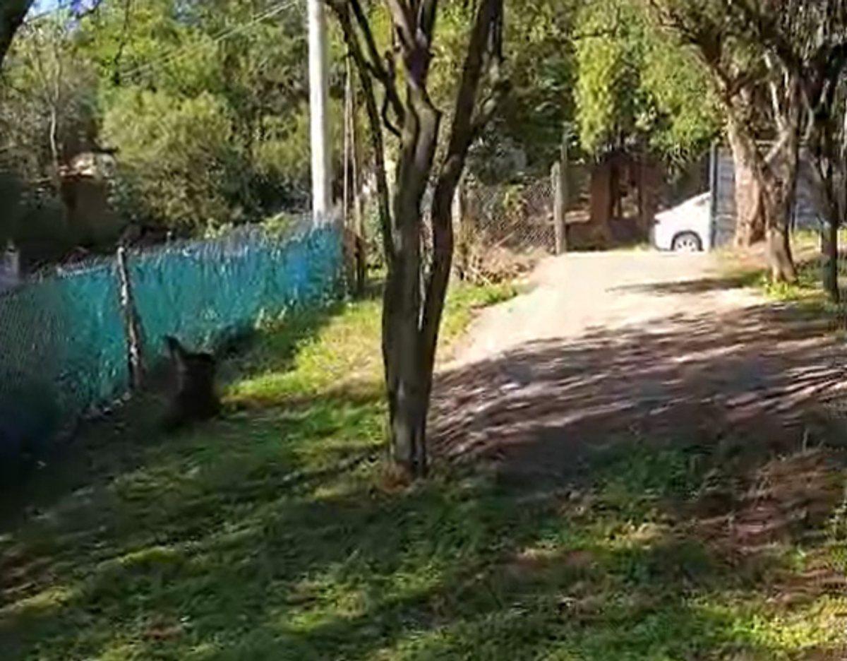 Foto de VENTA LOTE 476 M2 RIO CEBALLOS EXCELENTE ZONA, imagen 3