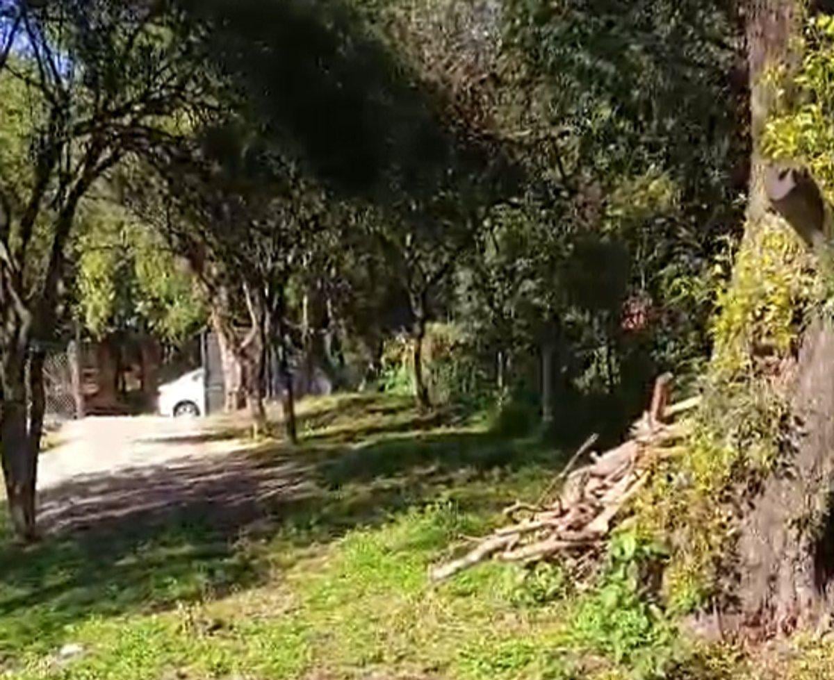 Foto de VENTA LOTE 476 M2 RIO CEBALLOS EXCELENTE ZONA, imagen 2