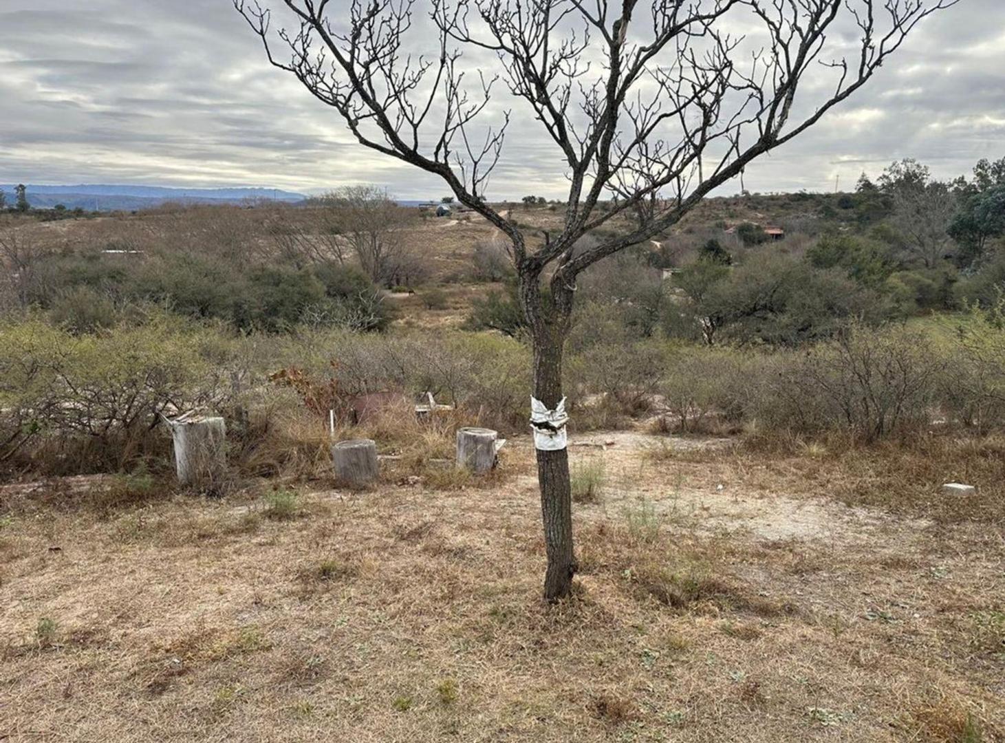 Foto de OPORTUNIDAD LOTE DE 3500M2 CON CASA CABALANGO, imagen 5