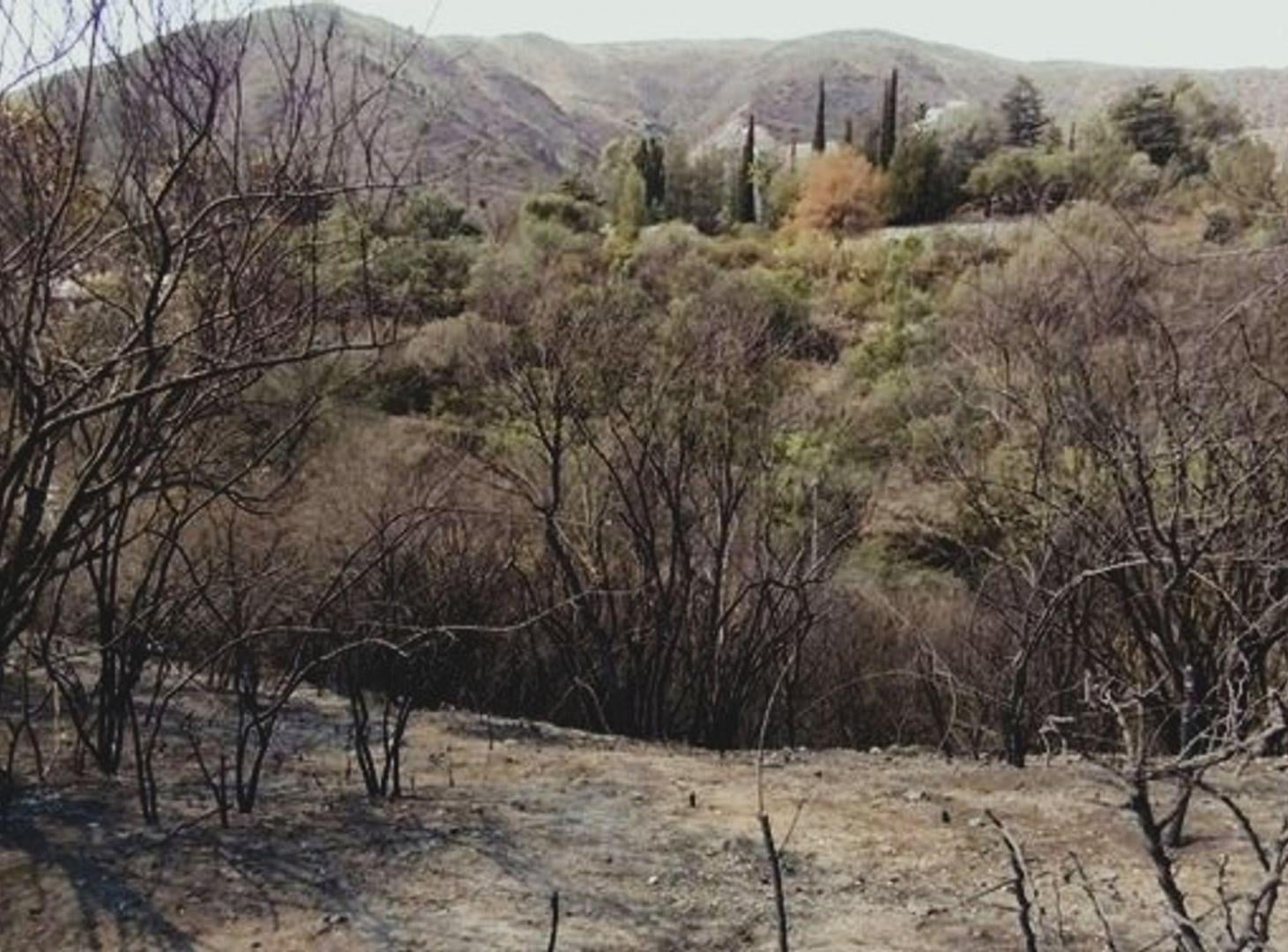 Foto de VENTA DE LOTE de 2.014 m2 EN LA FALDA, imagen 4