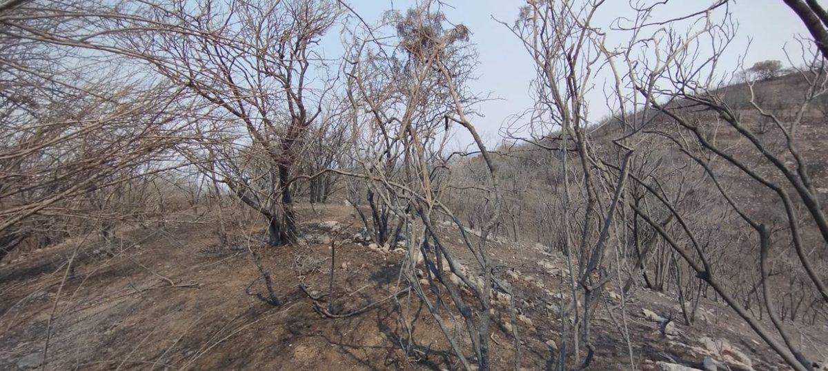 Foto de VENTA DE LOTE de 2.014 m2 EN LA FALDA, imagen 2