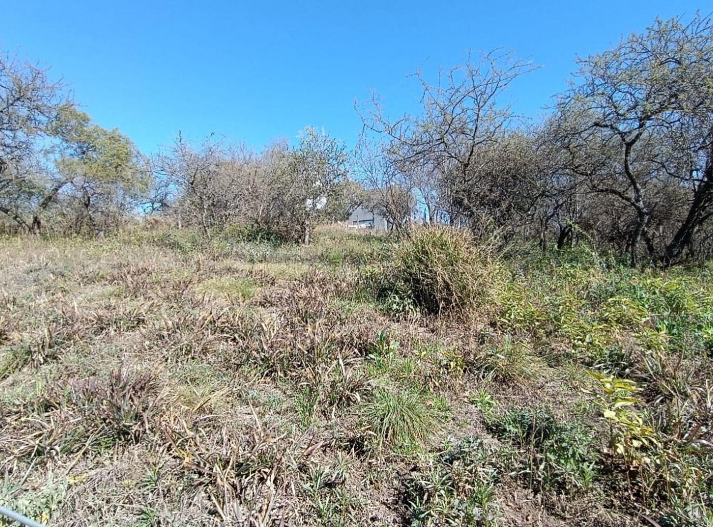 Foto de VENTA LOTE B NUEVO RIO CEBALLOS 540 m2, imagen 1