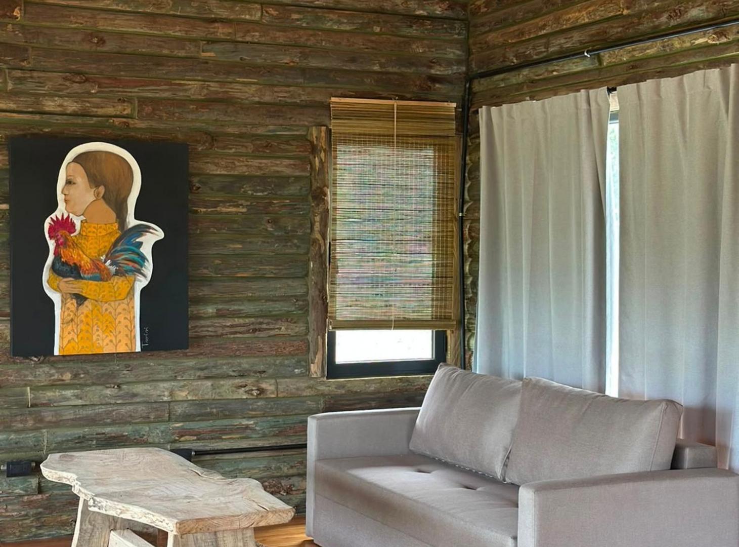 Foto de VENTA CABAÑA 1 DORM EN SAN CLEMENTE ALTITUD 1300, imagen 4