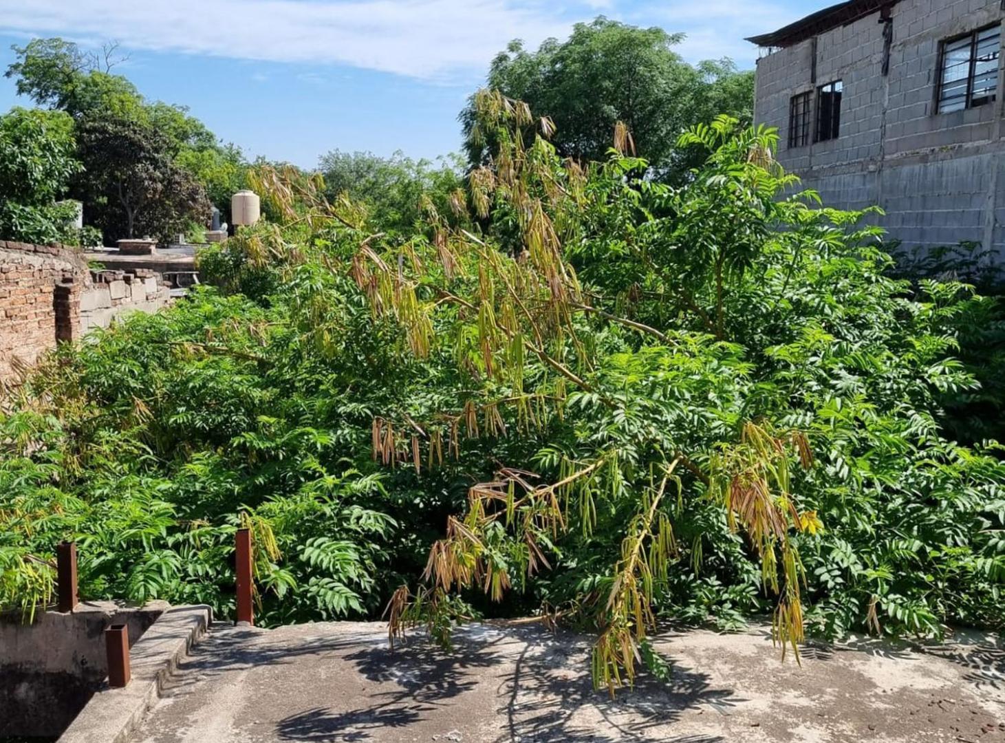 Foto de VENTA TERRENO 325 M2 A METROS DE SABATTINI, imagen 2