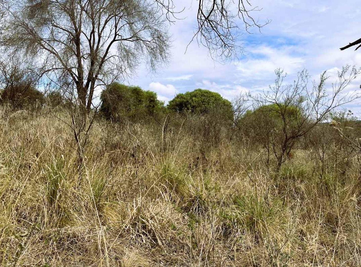Foto de VENTA TERRENO PLANO EN COSQUIN 1450M2, imagen 2
