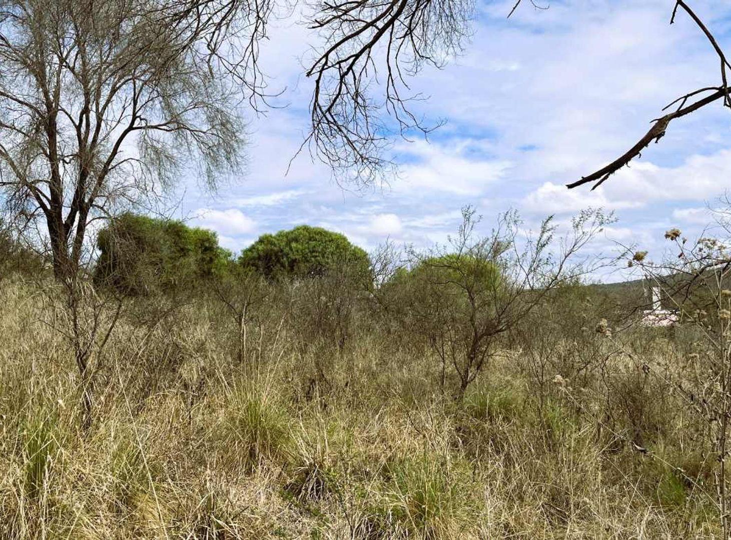 Foto de VENTA TERRENO PLANO EN COSQUIN 1450M2, imagen 5