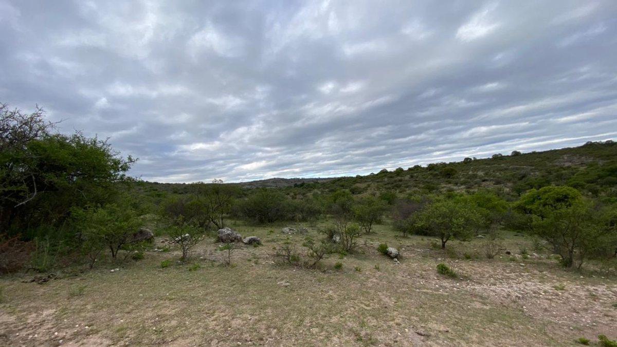 Foto de VENTA TERRENOS EN FLOR SERRANA, imagen 1