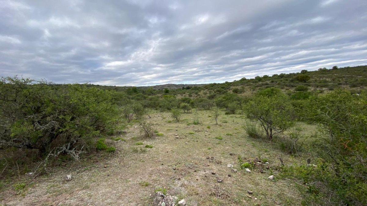 Foto de VENTA TERRENOS EN FLOR SERRANA, imagen 3
