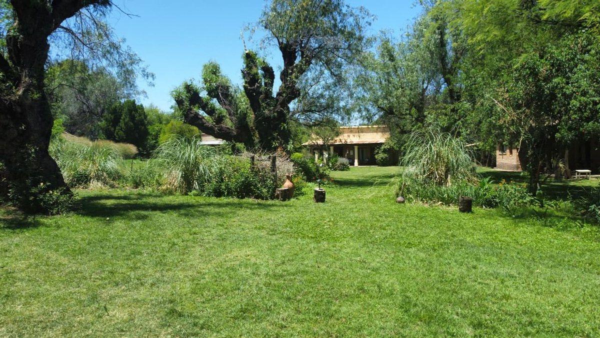 Foto de VENTA CAMPO Y CASAS 87,5 Ha LA POBLACION ESCRITURA, imagen 5