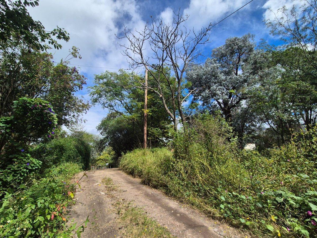 Foto de VENTA LOTE 1.700 M2 ASOCHINGA PROX RUTA E53 GOLF, imagen 2