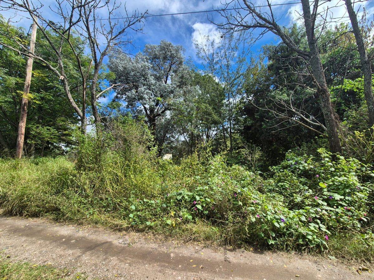Foto de VENTA LOTE 1.700 M2 ASOCHINGA PROX RUTA E53 GOLF, imagen 3