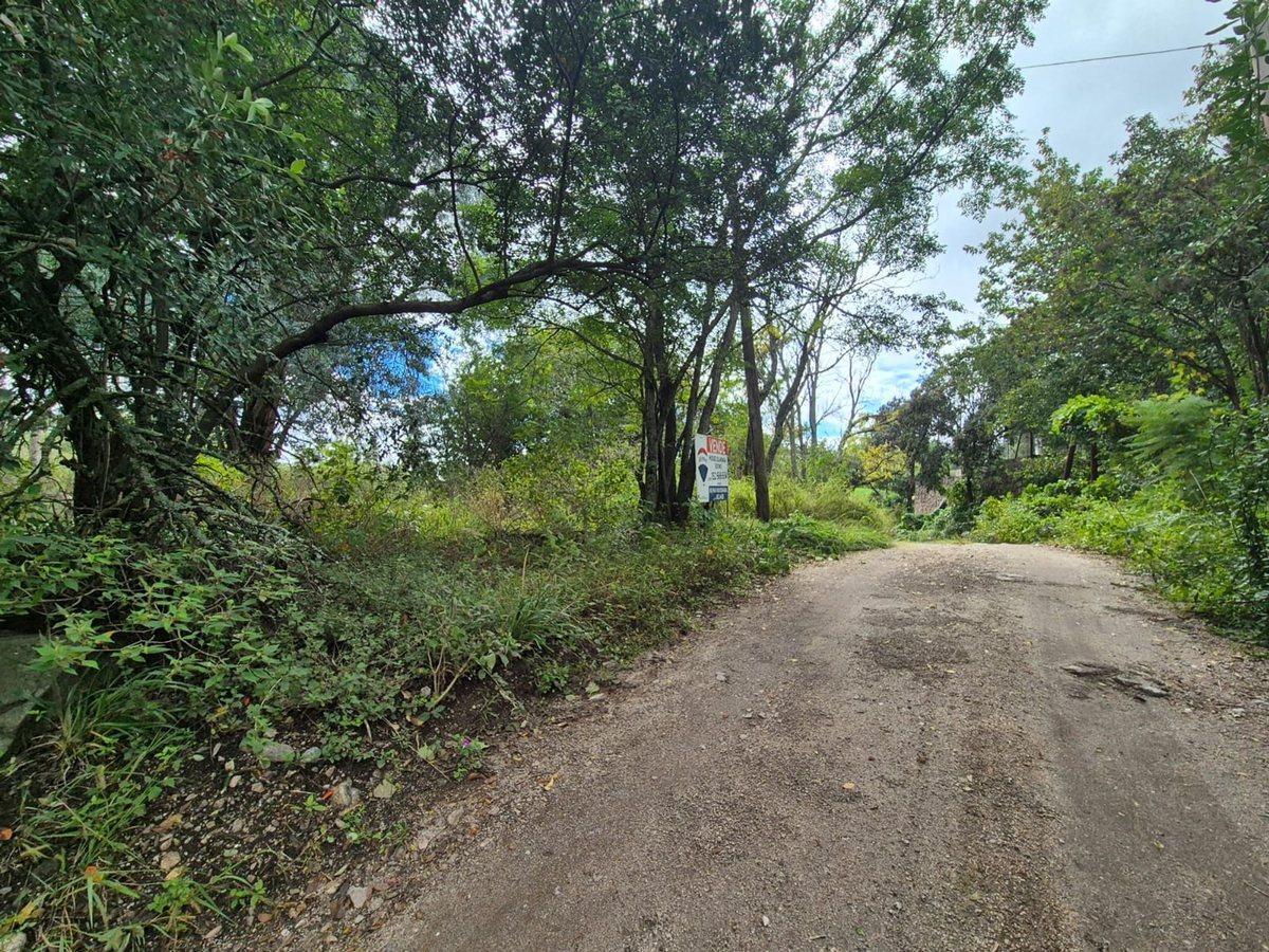 Foto de VENTA LOTE 1.700 M2 ASOCHINGA PROX RUTA E53 GOLF, imagen 3