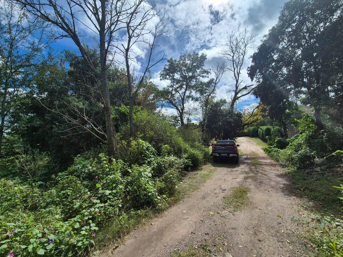 Foto de VENTA LOTE 1.700 M2 ASOCHINGA PROX RUTA E53 GOLF, imagen 4