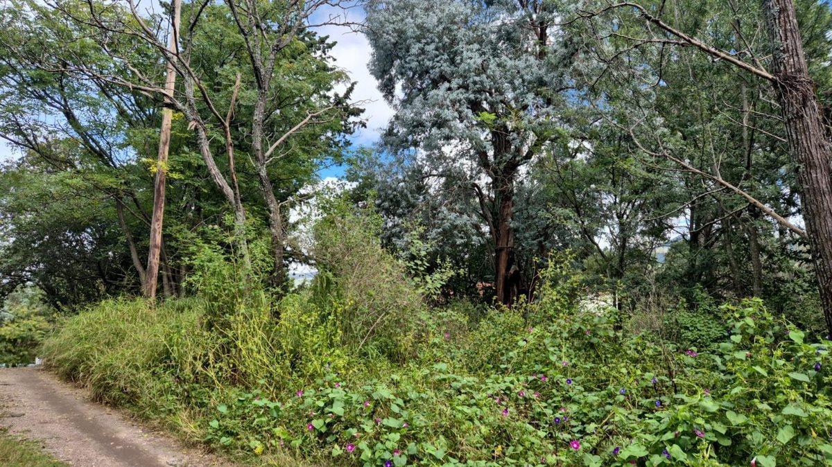 Foto de VENTA LOTE 1.700 M2 ASOCHINGA PROX RUTA E53 GOLF, imagen 1