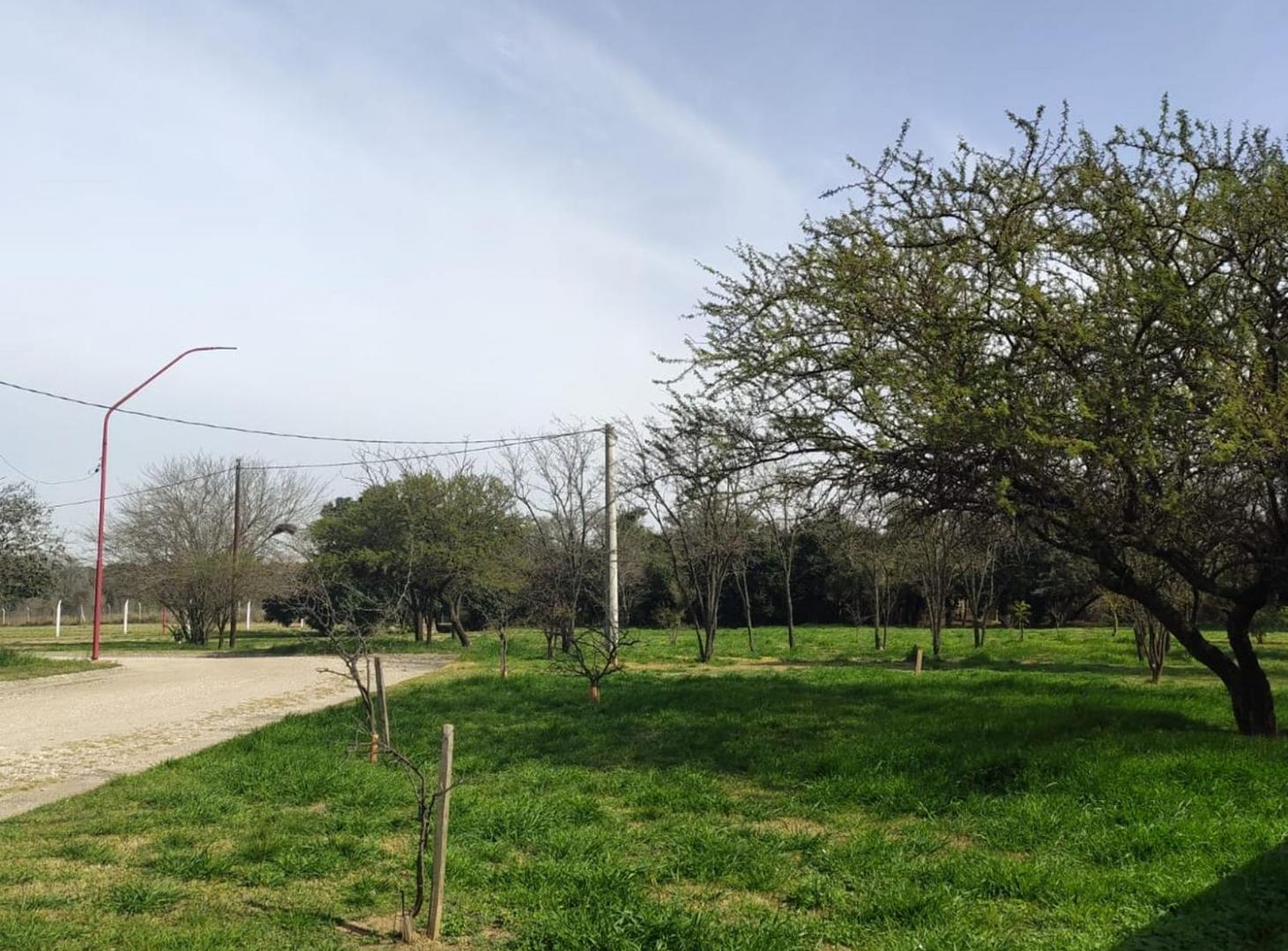 Foto de VENTA LOTE 860 M2 OFRECE FINANCIAMNIENTO COLONIA T, imagen 5