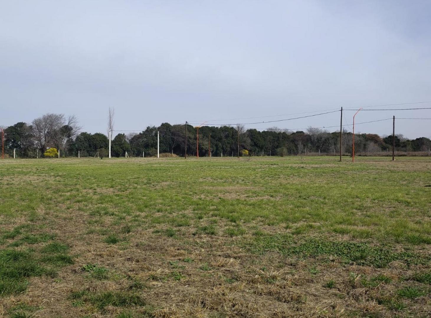 Foto de VENTA LOTE 860 M2 OFRECE FINANCIAMNIENTO COLONIA T, imagen 2