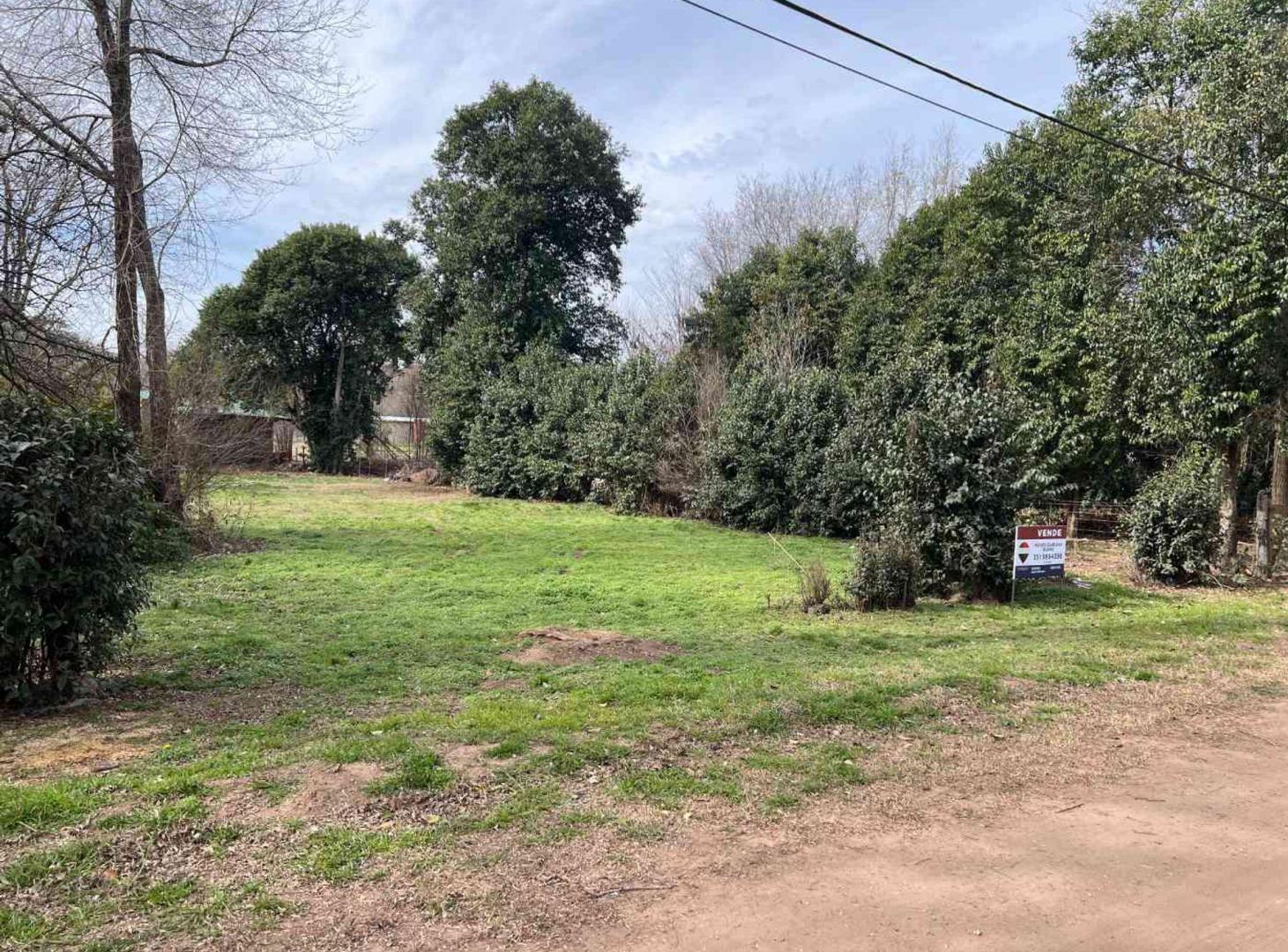 Foto de VENTA TERRENO EL TORREON V RUMIPAL CALAMUCHITA, imagen 5
