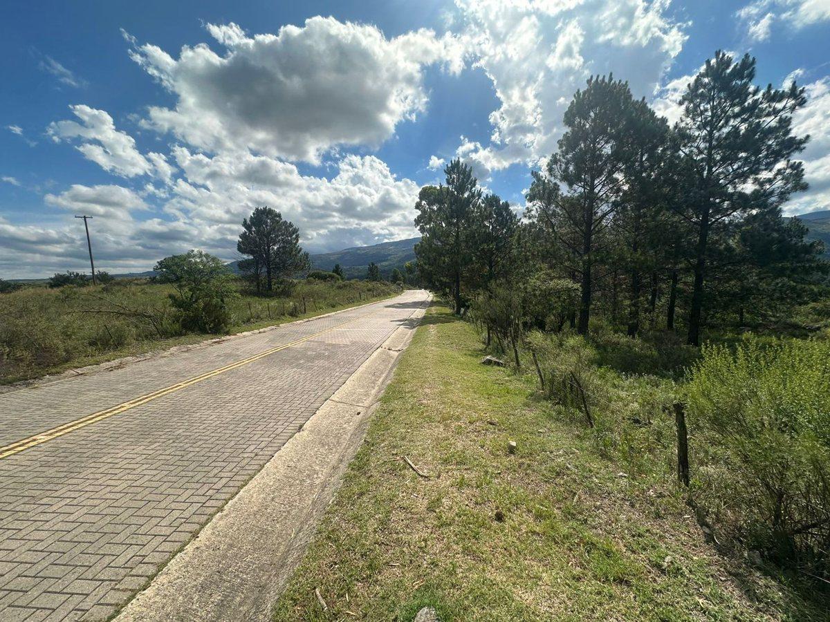 Foto de VENTA LOTE 1.5HA EN SAN CLEMENTE SOBRE RUTA C/RIO, imagen 1