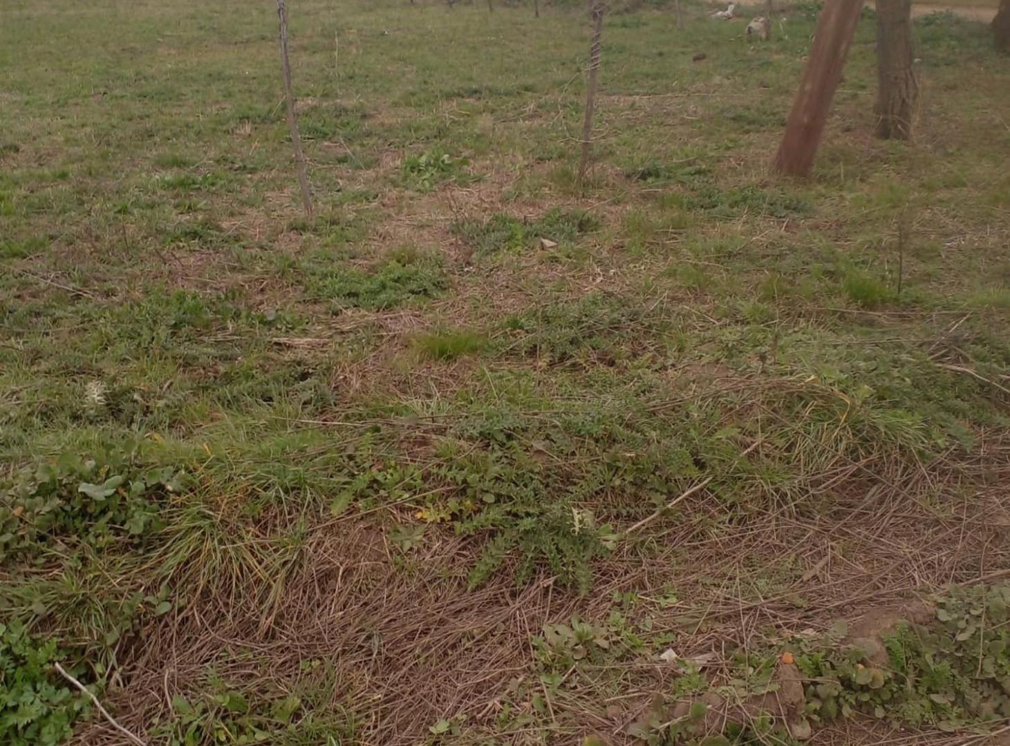 Foto de VENTA LOTE ESQUINA POTRERO DE GARAY ESCRITURA, imagen 2