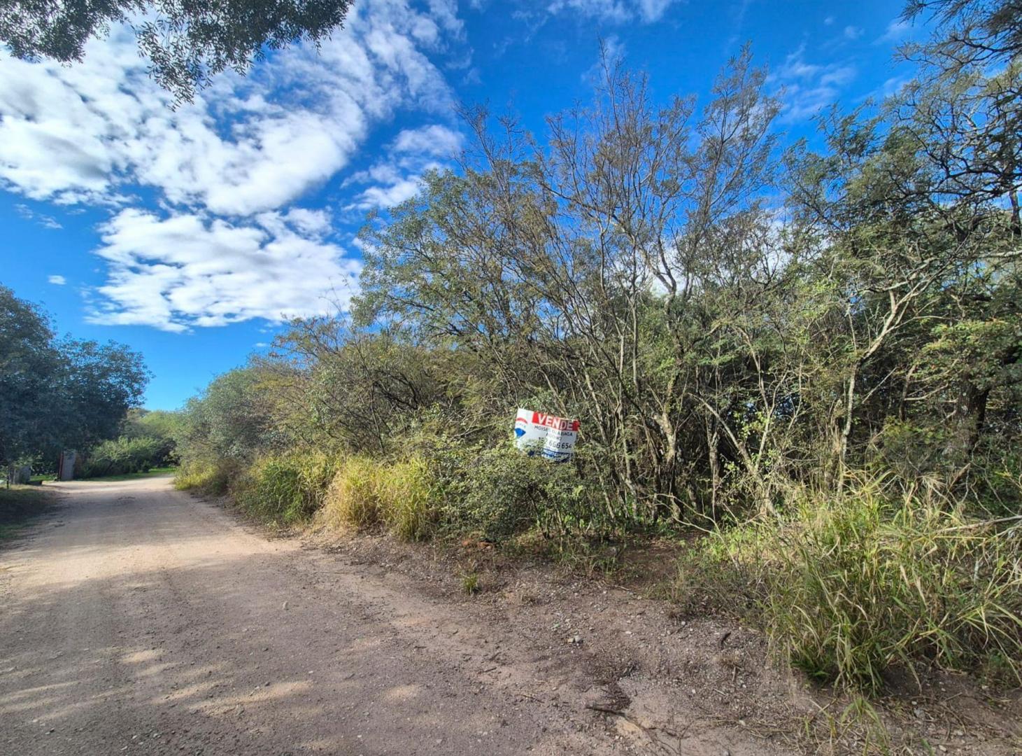 Foto de VENTA LOTE 3350M M2 COLINAS DE LA GRANJA, imagen 2