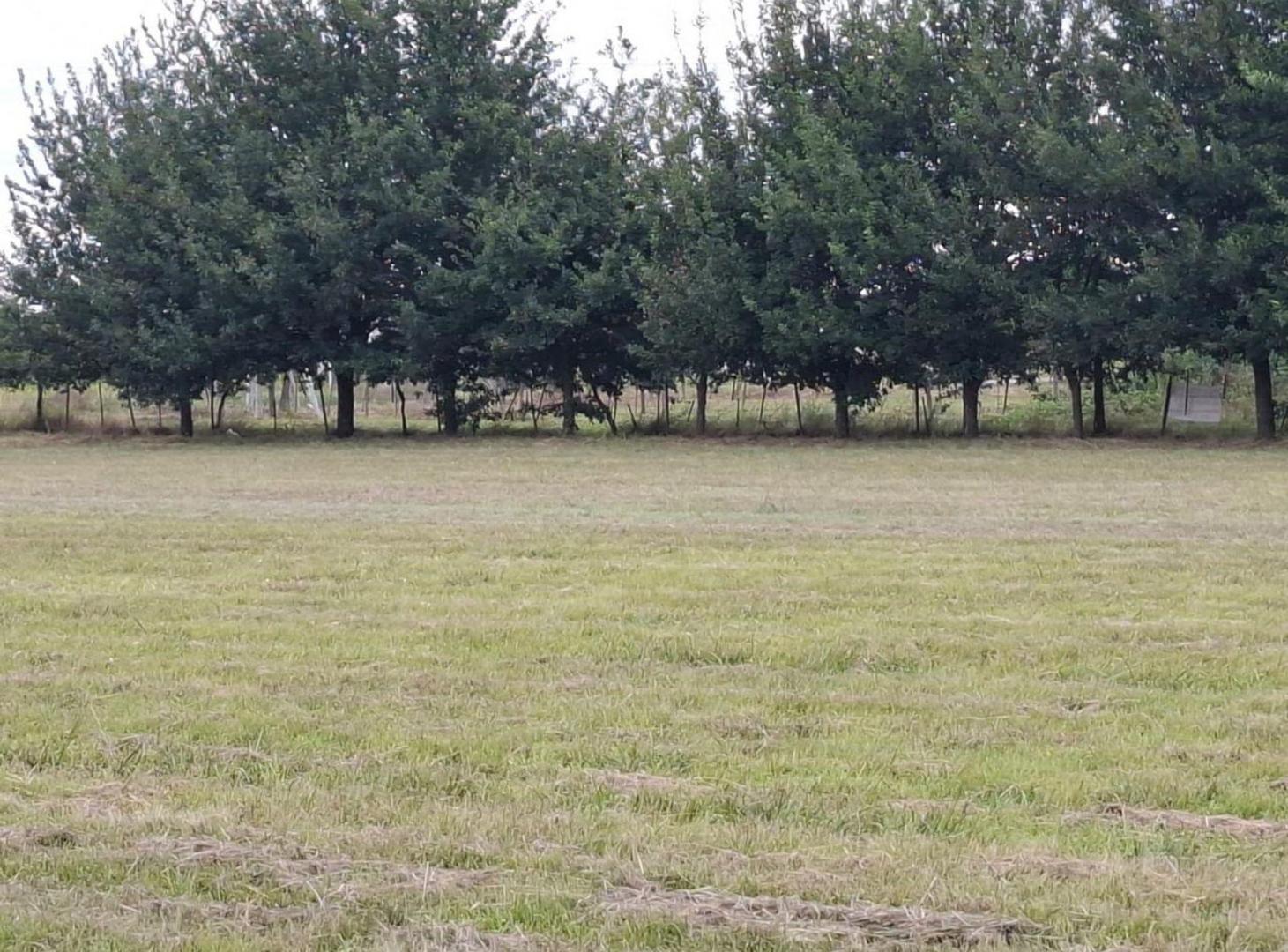 Foto de Venta Lote 4.180M costa al lago Potrero de Garay, imagen 2