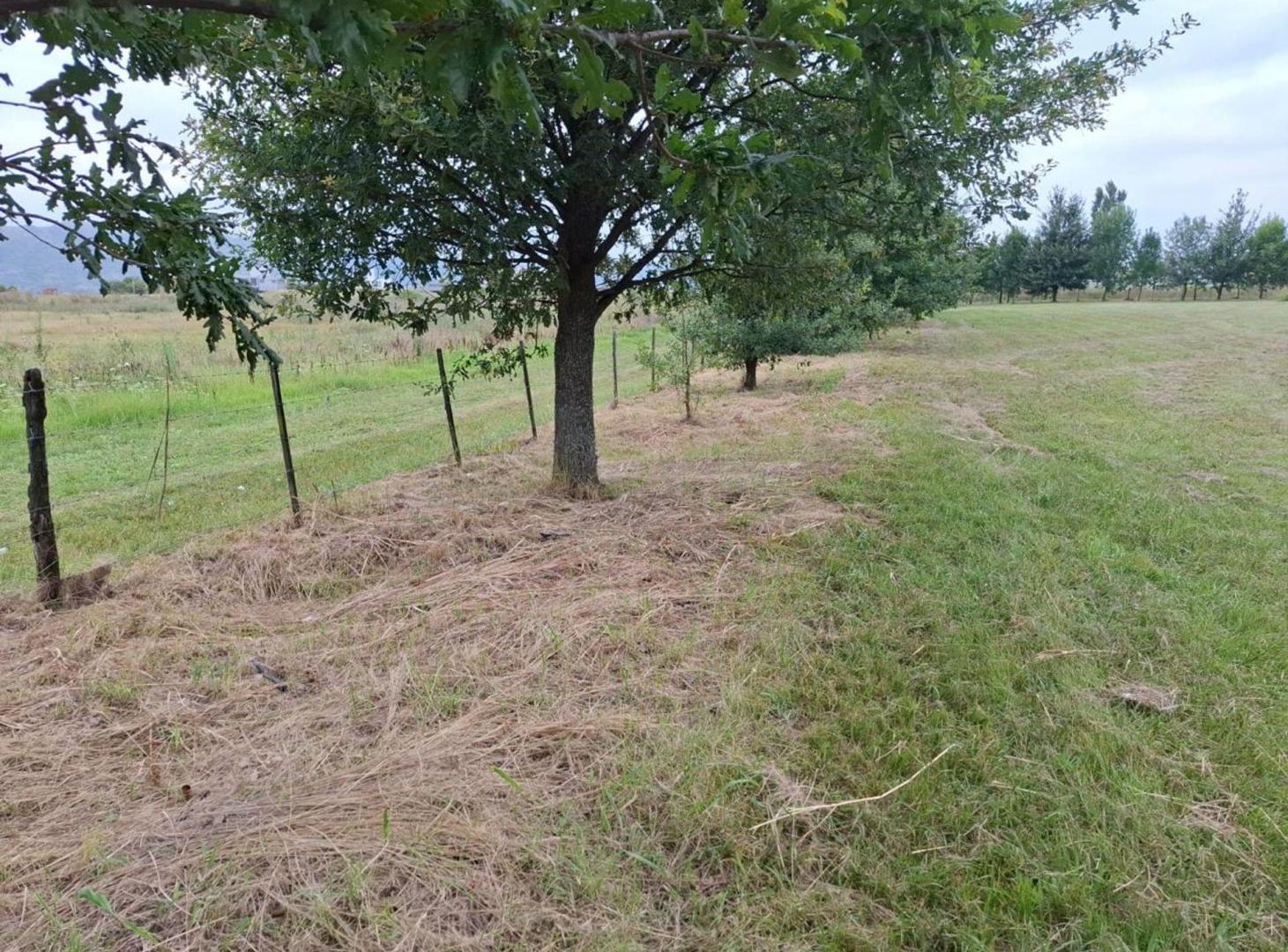 Foto de Venta Lote 4.180M costa al lago Potrero de Garay, imagen 4