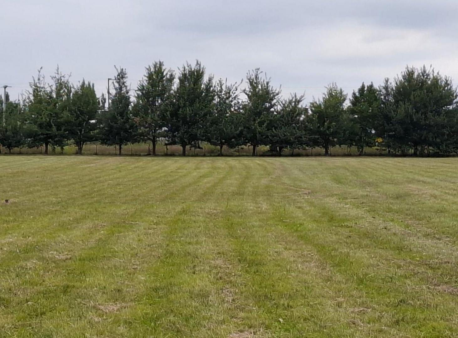 Foto de Venta Lote 4.180M costa al lago Potrero de Garay, imagen 5