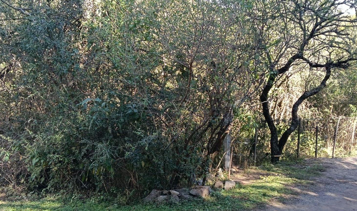 Foto de VENDE LOTE 8552 M2 CABANA UNQUILLO LOS QUEBRACHITO, imagen 3