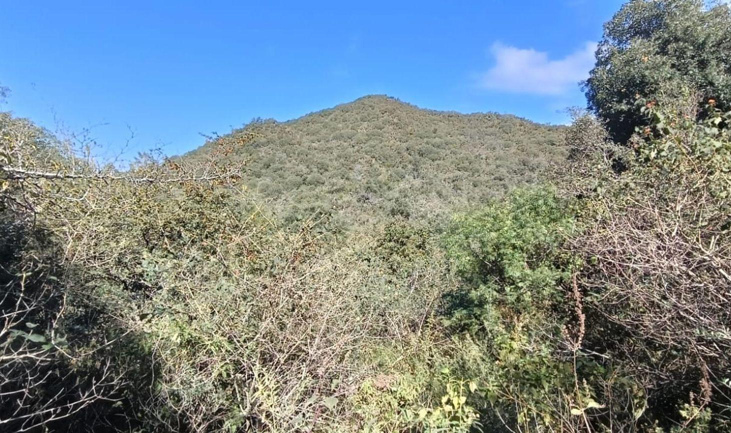 Foto de VENDE LOTE 8552 M2 CABANA UNQUILLO LOS QUEBRACHITO, imagen 1