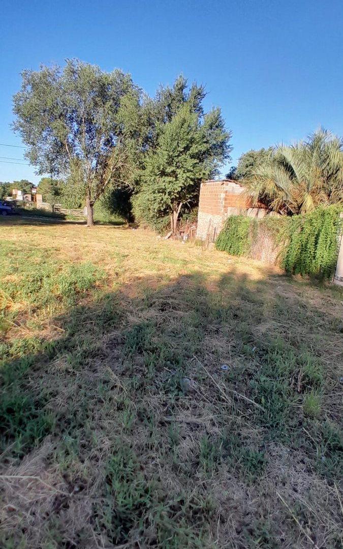 Foto de VENTA TERRENO 700 SAN ANTONIO, imagen 1