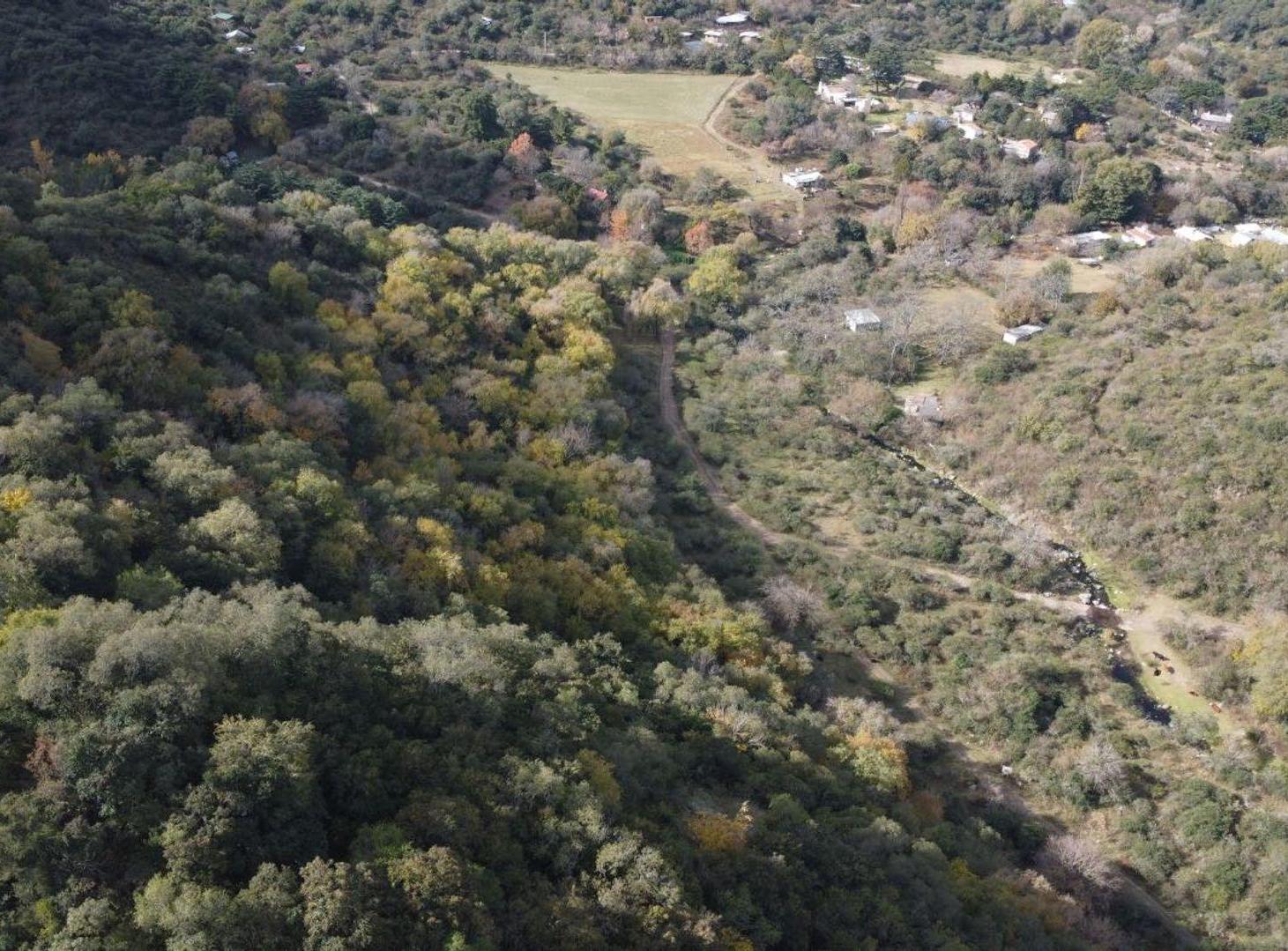 Foto de VENTA CAMPO 10 HECTAREAS COLANCHANGA, imagen 3