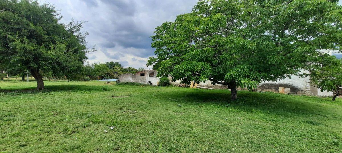 Foto de VENTA CASONA A RECIC PILETA LOTE 5500 M2 LA GRANJA, imagen 4