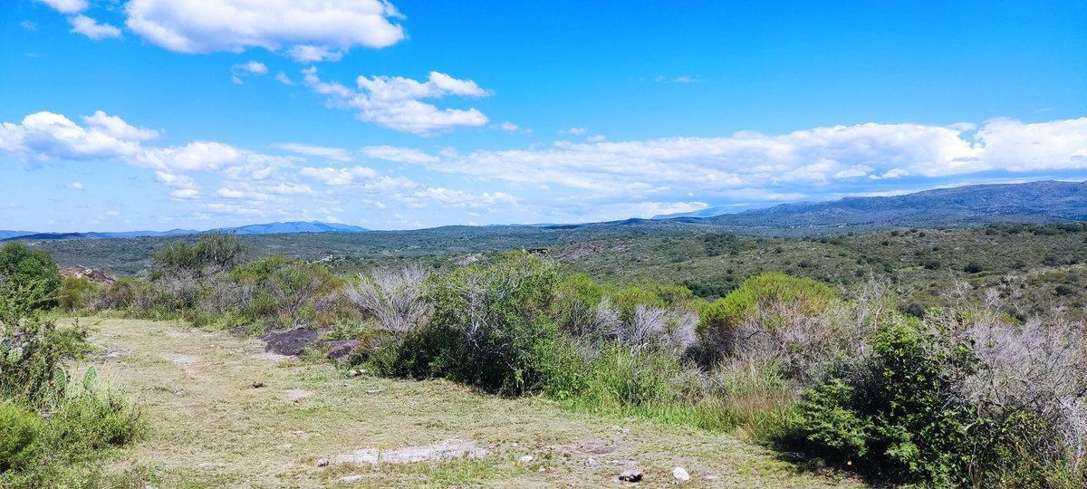 Foto de TERRENO EN VENTA CABALANGO 3,5 HECTAREAS, imagen 3