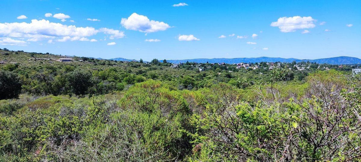 Foto de TERRENO EN VENTA CABALANGO 3,5 HECTAREAS, imagen 2