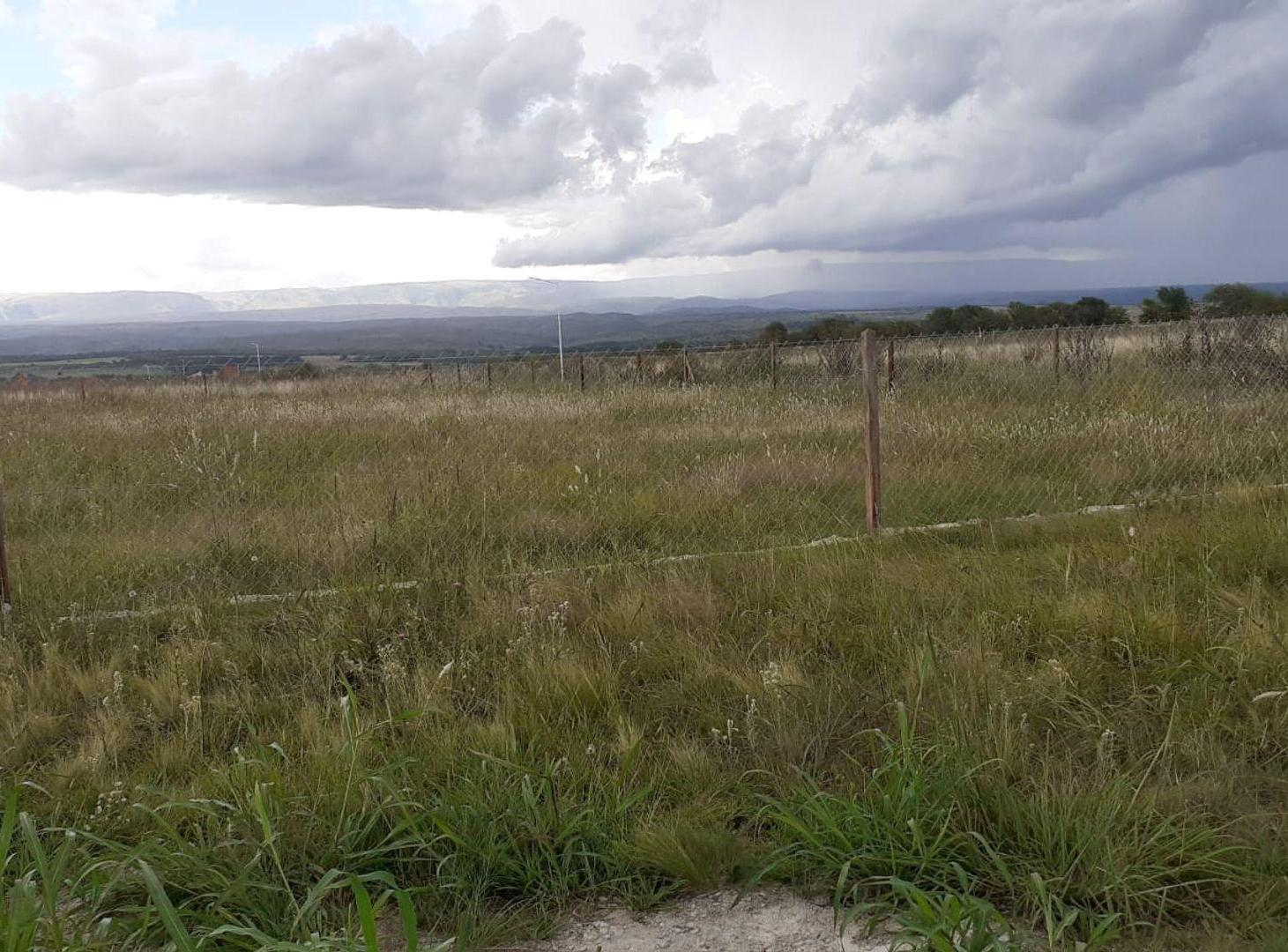 Foto de VENTA LOTE 825M2 EL CEDRÓN LOS REARTES, imagen 5
