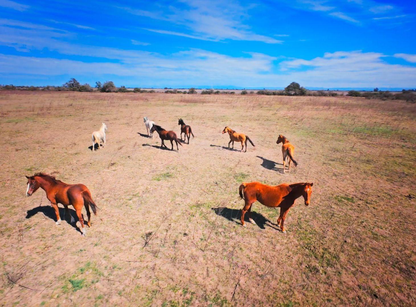 Foto de Venta Campo Montecristo 28 has Loteo preaprobado, imagen 2