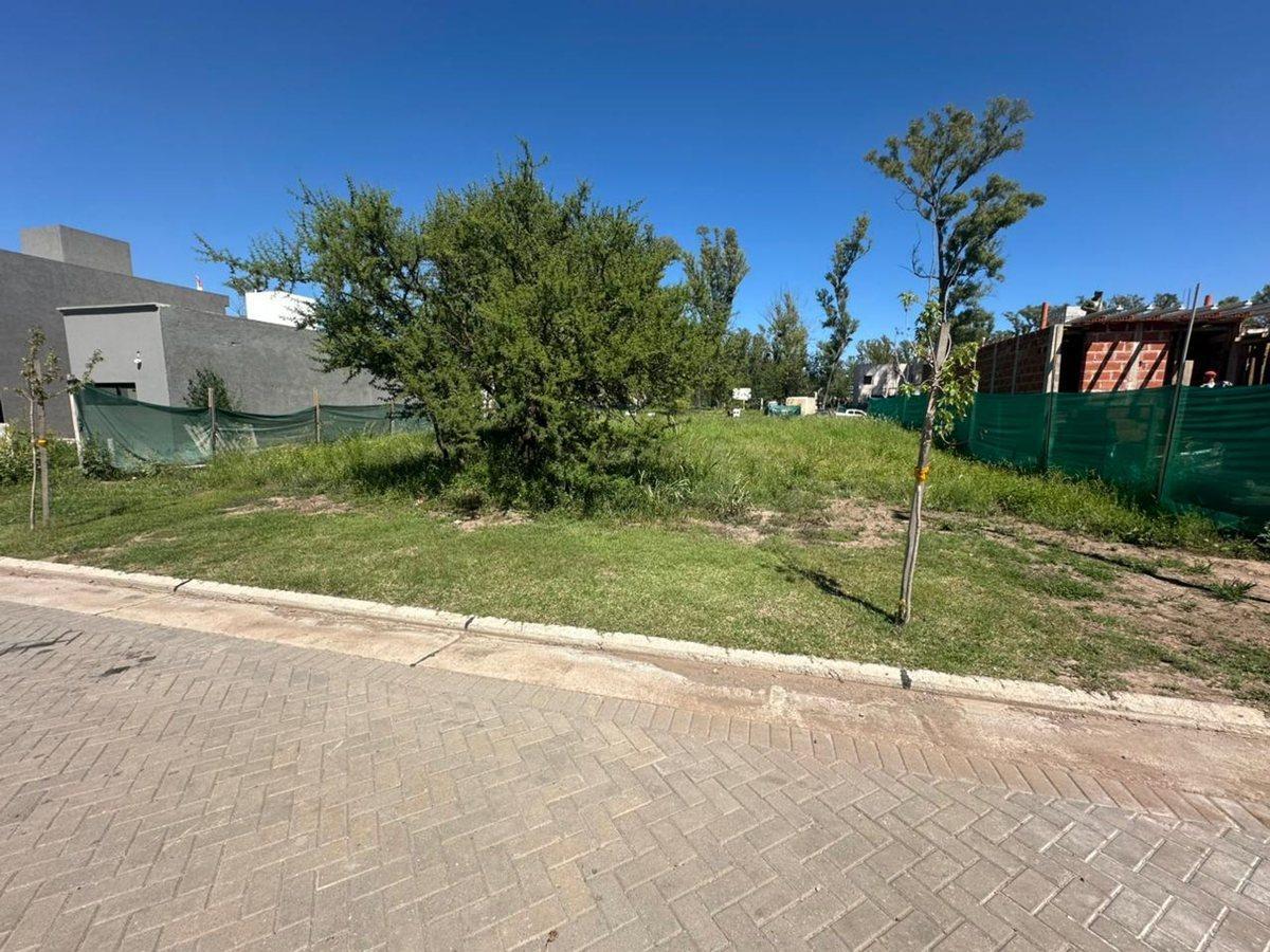 Foto de VENTA 2 LOTE 250M CU EN NUEVO MALAGUEÑO, imagen 3