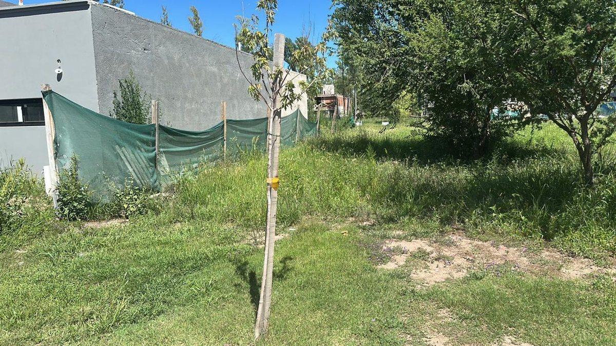 Foto de VENTA 2 LOTE 250M CU EN NUEVO MALAGUEÑO, imagen 4