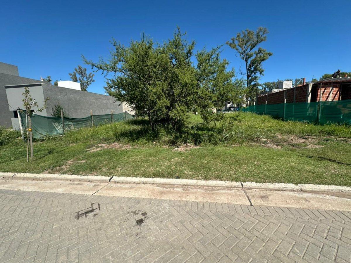 Foto de VENTA 2 LOTE 250M CU EN NUEVO MALAGUEÑO, imagen 5